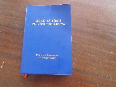 Bible logoti.jpg